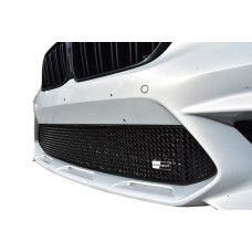BMW M2 Competition (F87) - Centre Grille